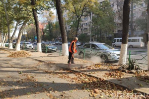 В Ташкентской области молодежь пригласили к уборке территорий