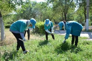 Более 500 студентов трудятся в отрядах «Жасыл ел» в Туркестанской области