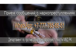 По WhatsApp могут сообщать о фактах распространения наркотиков казахстанцы