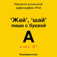 «Пиши на казахском». Как креативная молодежь продвигает и развивает родной язык