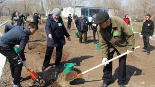 Павлодарлық жастар «Алмалы бақ» жобасын жүзеге асыруда